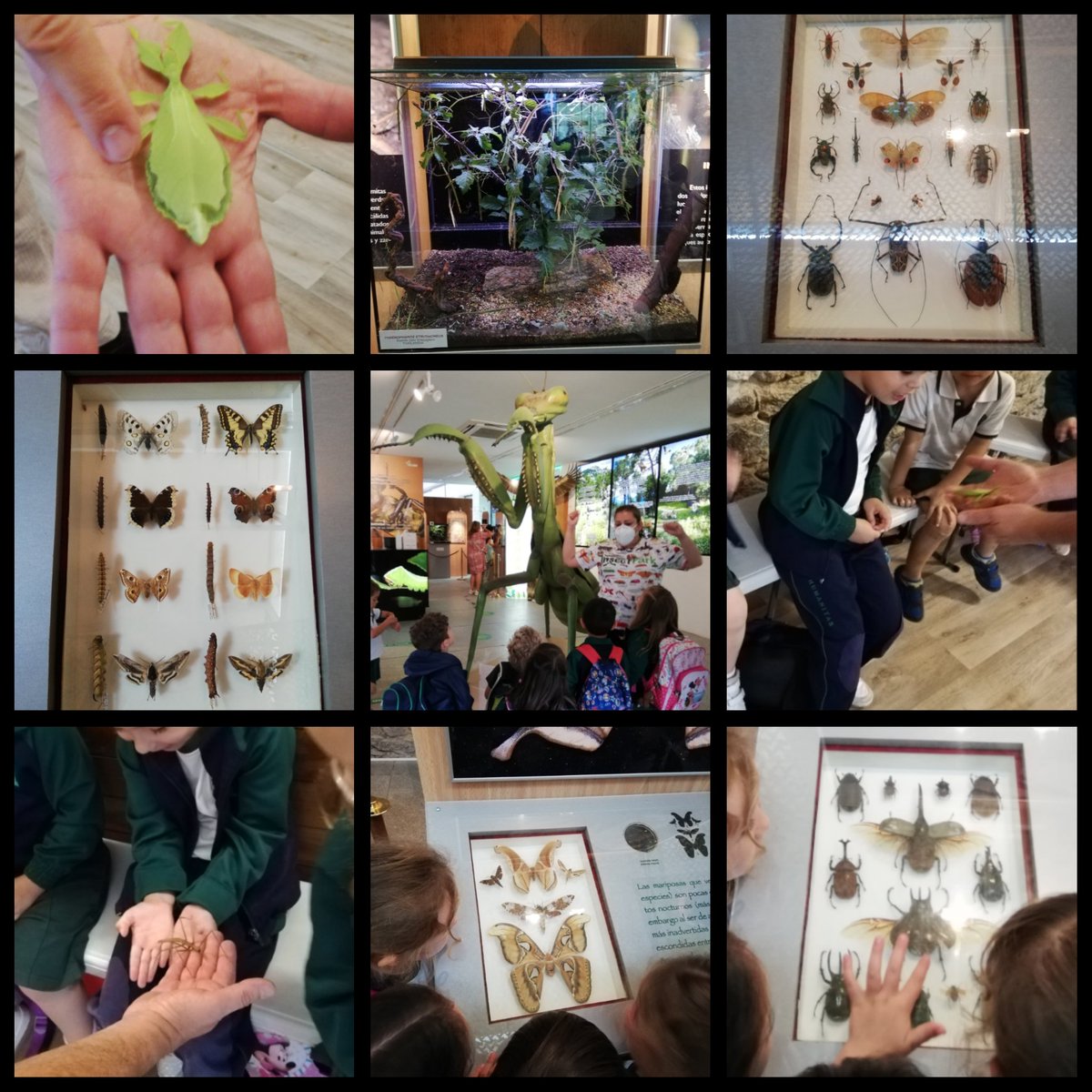 ¡Volvemos aún más expertos en bichos! 👏🏼😆 #insectpark #policías