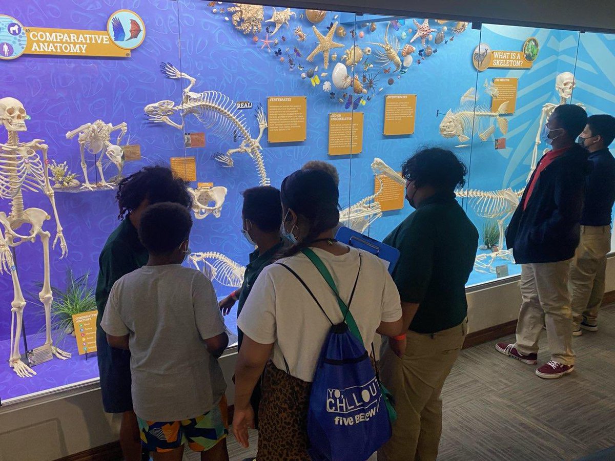 Our Summer Session scholars enjoyed the <a href="/OsteologyMuseum/">Museum of Osteology</a>!