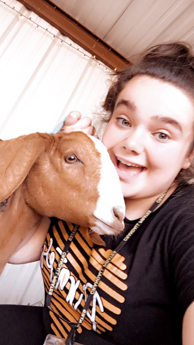 District 1 FFA Association tweet media