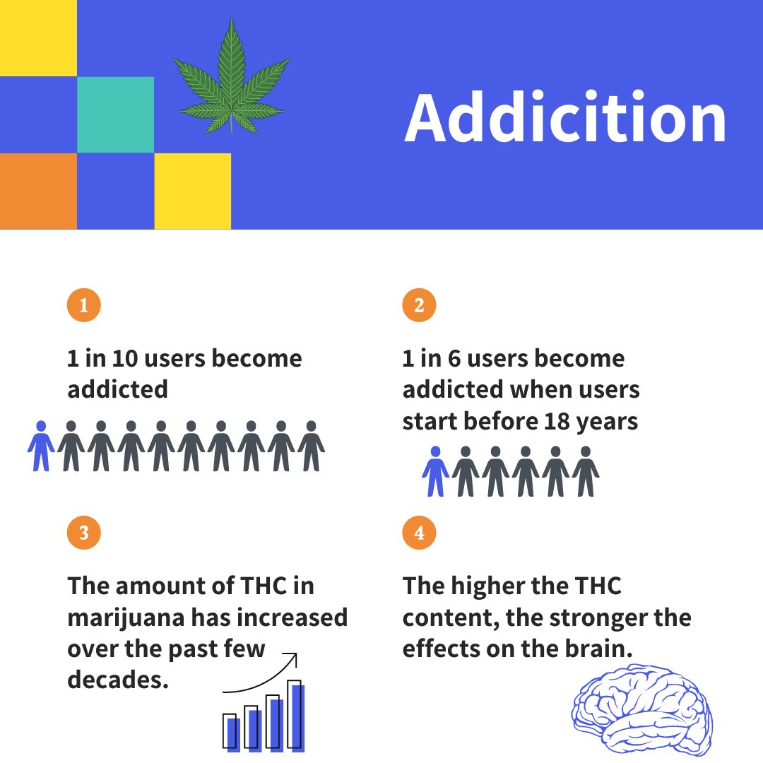 Did you know that the amount of THC present in marijuana has greatly increased over the years?