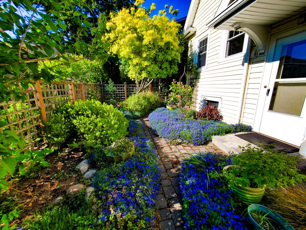 The Peoples Gardening Collective tweet media