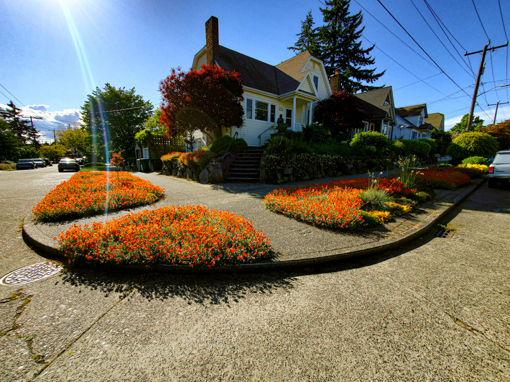 The Peoples Gardening Collective tweet media