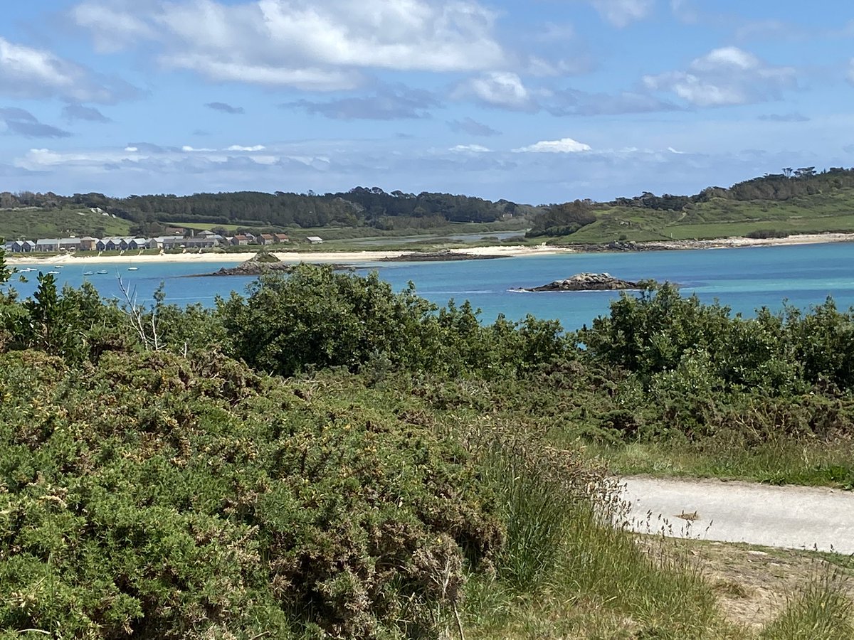 RobinSt89788292's tweet photo. Finally managed to get to the last of the inhabited islands on #islesofscilly #bryher  I can’t think of a better reason to go that to complete a one day youth mental health course and the lunch break time views our amazing. #mentalhealth https://t.co/RF0j0Y0ism