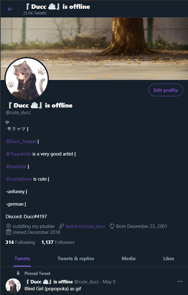 idk if this twitter account still exist till this is going to get tweeted, but if
can you say hi to ducc?
also this is my profile when i tweeted it :3
x.com/cute_ducc/stat…