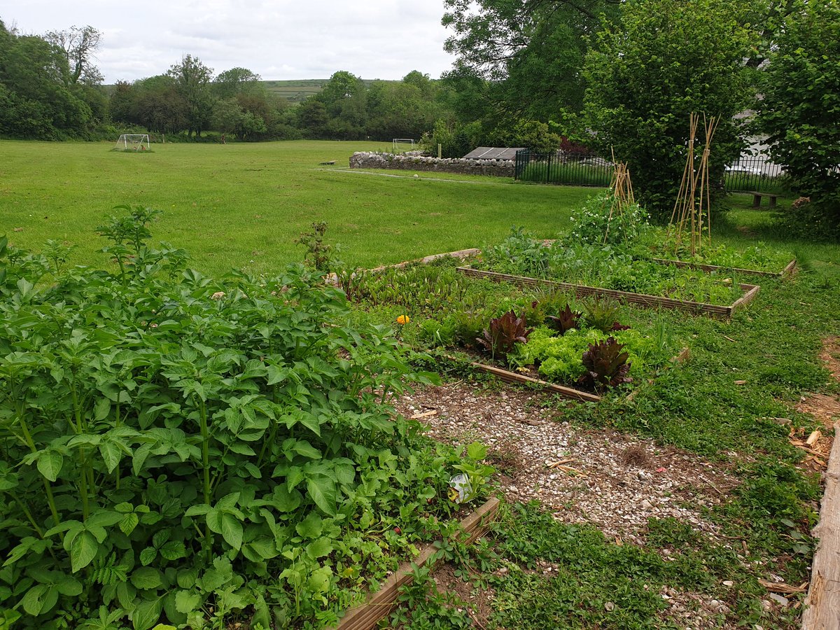 I had a lovely morning at <a href="/KnelstonPrimary/">Knelston Primary</a> with pupils from <a href="/KnelstonGreens/">Knelston Greens</a>. I left feeling very inspired by their green fingers and business ideas. Well done all! Thank you for having me. 😊