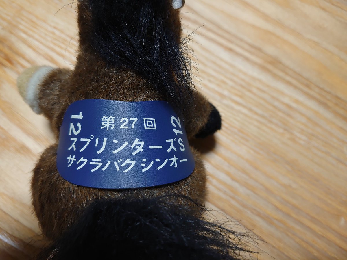 ctrlaltdel52's tweet photo. 昔獲った一時期流行ってた馬のぬいぐるみ、サクラバクシンオーだった https://t.co/NyzKVhfEYQ