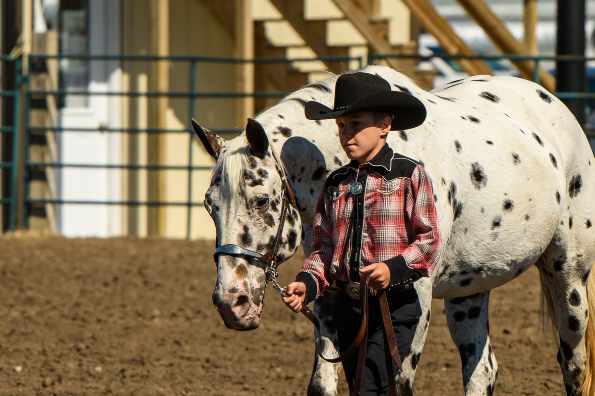SchweigertLaura's tweet photo. Riders of the RRVHSA, the photos are up!
Thank you for having me, Red River Valley Horse Show Association - RRVHSA! #grateful #horsesarethebest
https://t.co/XAXx5ninL2 https://t.co/hrqmduGQpT