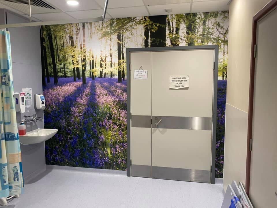 CarrelNuh's tweet photo. Carrel Shared Governance have been working hard to coordinate the arrival of our beautiful Murals in our boring side rooms!! Great to finally see them up and great team work to get them done during a busy clinical week 👏🏻. @MakingsRn @SarahBrand21 @markrigby22 @cxby26 @beldring1 https://t.co/4f2Mgl9oaD