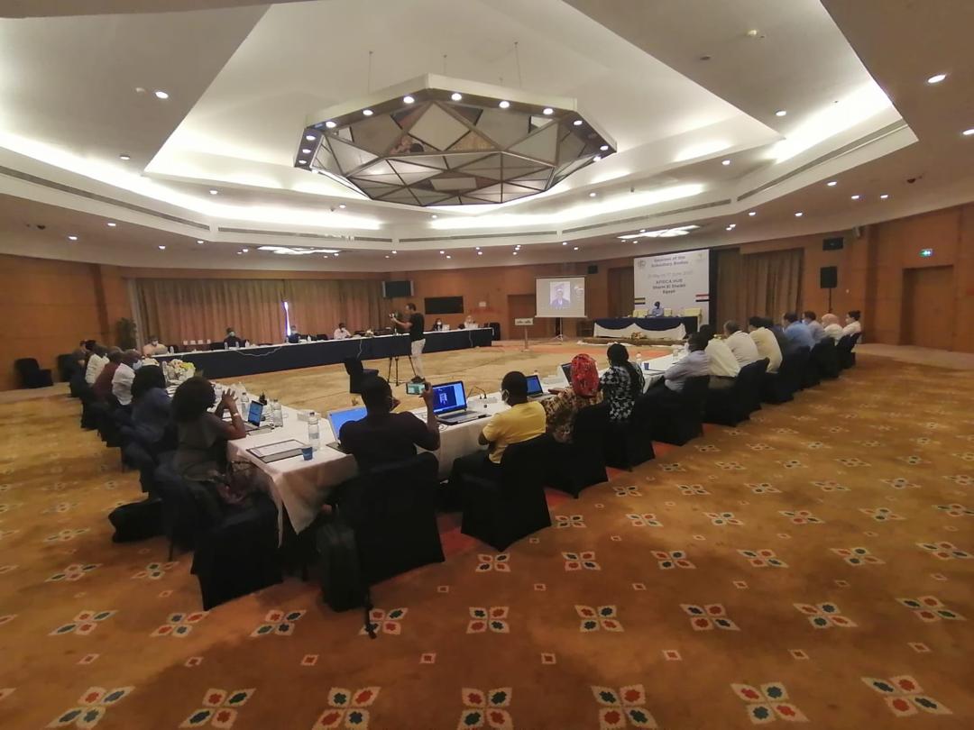 Agn Chair Agnchairunfccc Twitter