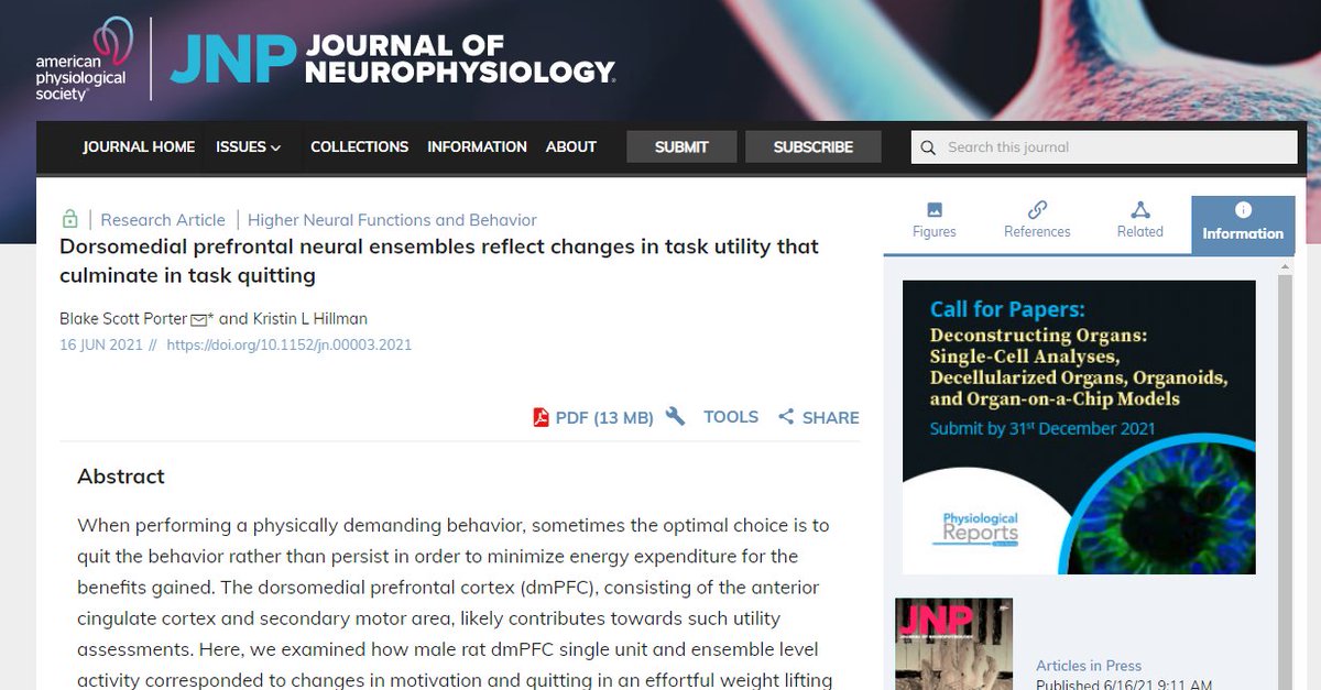 JNeurophysiol's tweet image. #ArticlesinPress - &quot;Dorsomedial prefrontal neural ensembles reflect changes in task utility that culminate in task quitting&quot;
Blake Scott Porter and Kristin L Hillman
#Prefrontalcortex #Taskquitting #Neuroscience
@Otago
doi.org/10.1152/jn.000…