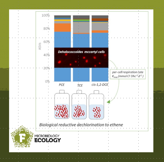 FEMSmicro's tweet photo. #Dehalococcoides mccartyi cell abundance correlates with reductive #dechlorination rates and allows to predict kinetic parameters indicating per cell #respiration rates of dechlorinating consortia enriched on PCE, TCE and cis-1,2-DCE.
#FEMSMicrobiolEcol
https://t.co/HHPyxftv9L https://t.co/e57fOqcQ4w