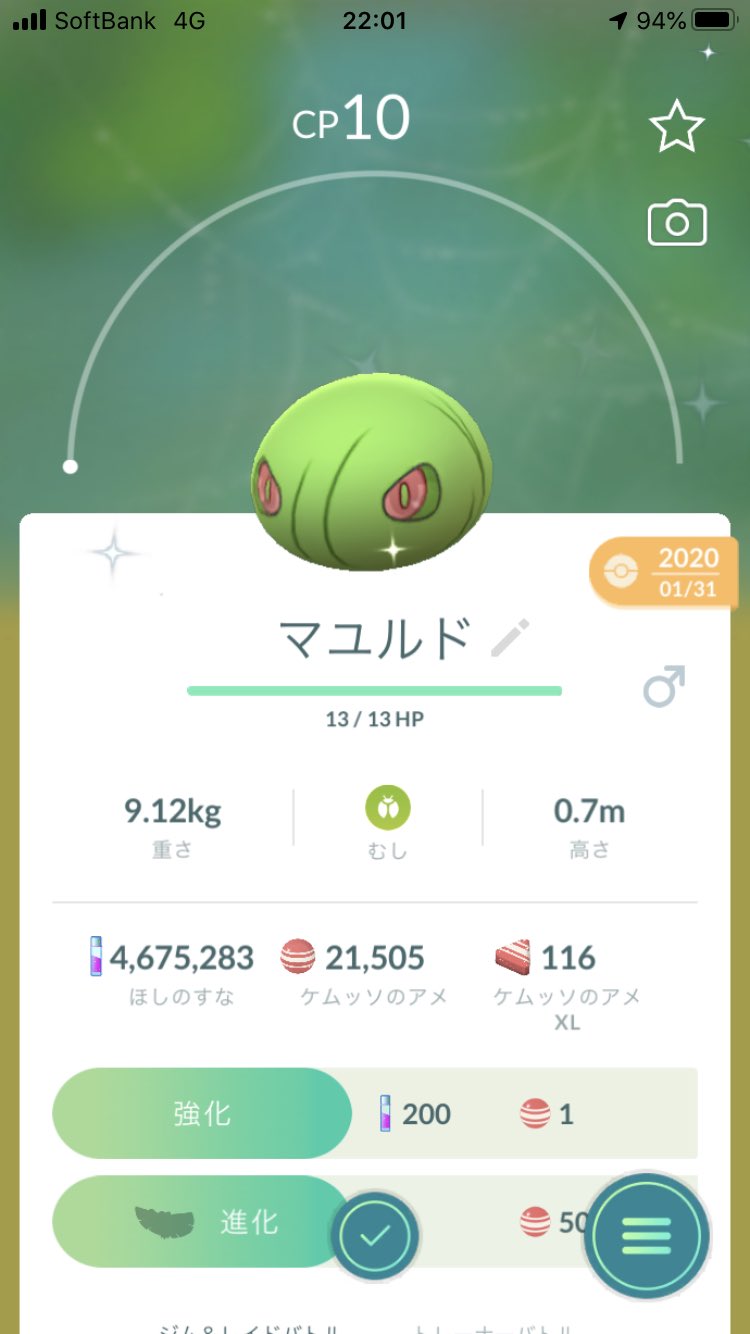 ドクケイル色違い Twitter Search Twitter
