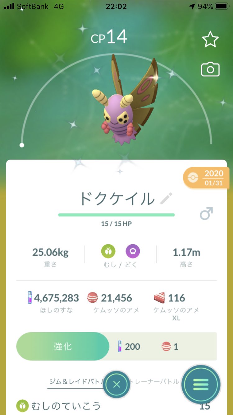 ドクケイル色違い Twitter Search Twitter