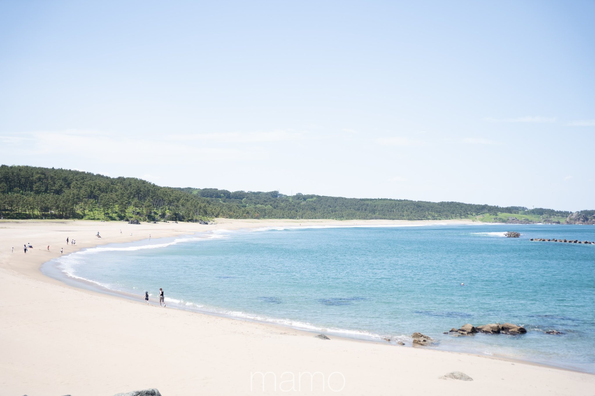 白浜海水浴場 Twitter Search Twitter