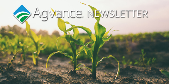 agvance's tweet photo. View the June #Agvance Solutions newsletter as we spotlight the Booking and Sales Invoices dashboard in Analytics and seed and crop protection orders in Supplier eLink. This month, we also salute our SSI dads on Father's Day. Access the June newsletter: https://t.co/Z3i4prcOqx https://t.co/M410PwD9X0