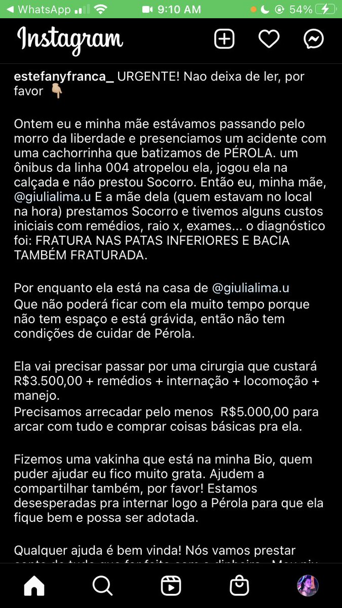 jenisfool's tweet photo. Galera quem puder ajudar! Um RT já ajuda!! minha prima e minha tia resgataram essa cachorrinha que foi batida por um ônibus da linha 004 no Morro da Liberdade. Os remédios p dor não foram suficientes e ela grita e chora de dor a todo momento + abaixo 🥺🙏🏻 https://t.co/3kCqfxRaGV https://t.co/XD4ZKZg3zB