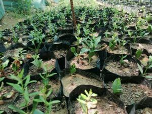 AtlasHigh's tweet photo. "In essence, #planting_argan_trees serves as the primary means of #community_building and increased #womenโs involvement in order to create brighter futures for the #community."
Read more: https://t.co/TjQ7y2Gotb https://t.co/JFmbcHMdiy