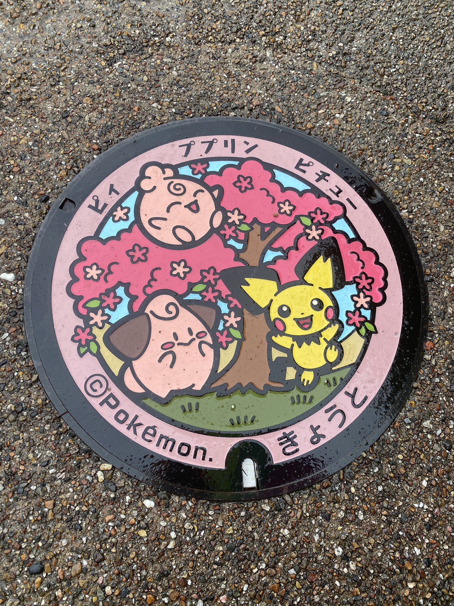 こころん 京都で見つけたポケモンマンホール もっと他の地域にもできて欲しいな ちなみに1枚目が八坂神社のあたりの公園内で 2枚目が嵐山の渡月橋のあたりでした ポケモン ポケモンマンホール マンホール ぽけふた ポケふた ポケモン好きな人と