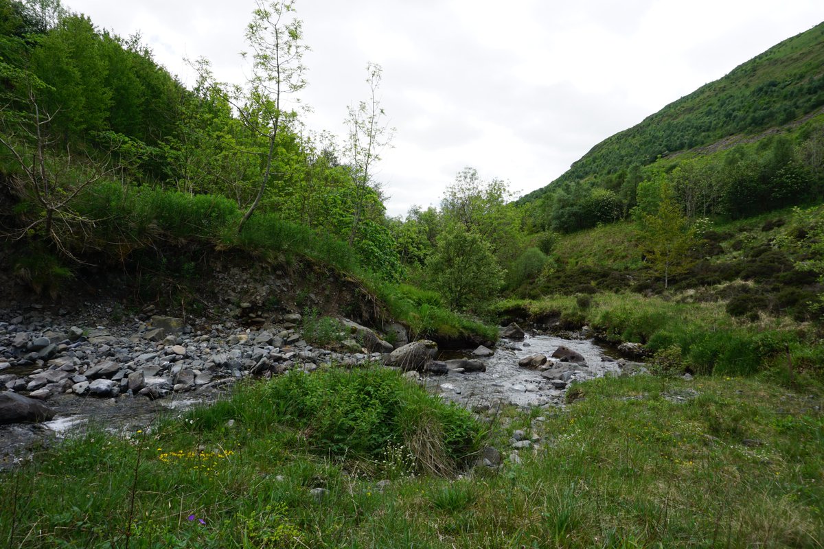 daisyhsmith's tweet photo. After a delay of a year (thanks Covid...) it was so good to have finally made it up to Scotland to start our research at the lovely @CarrifranWild! Now to the task of IDing all our invertebrates 🪲🐜🦗 https://t.co/ag3N6k5IZy