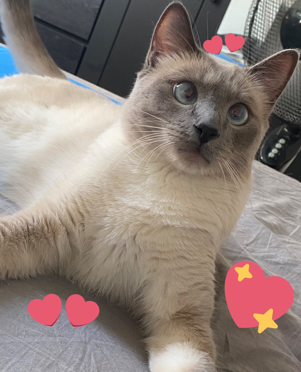 Yxeses Yxeses Twitter