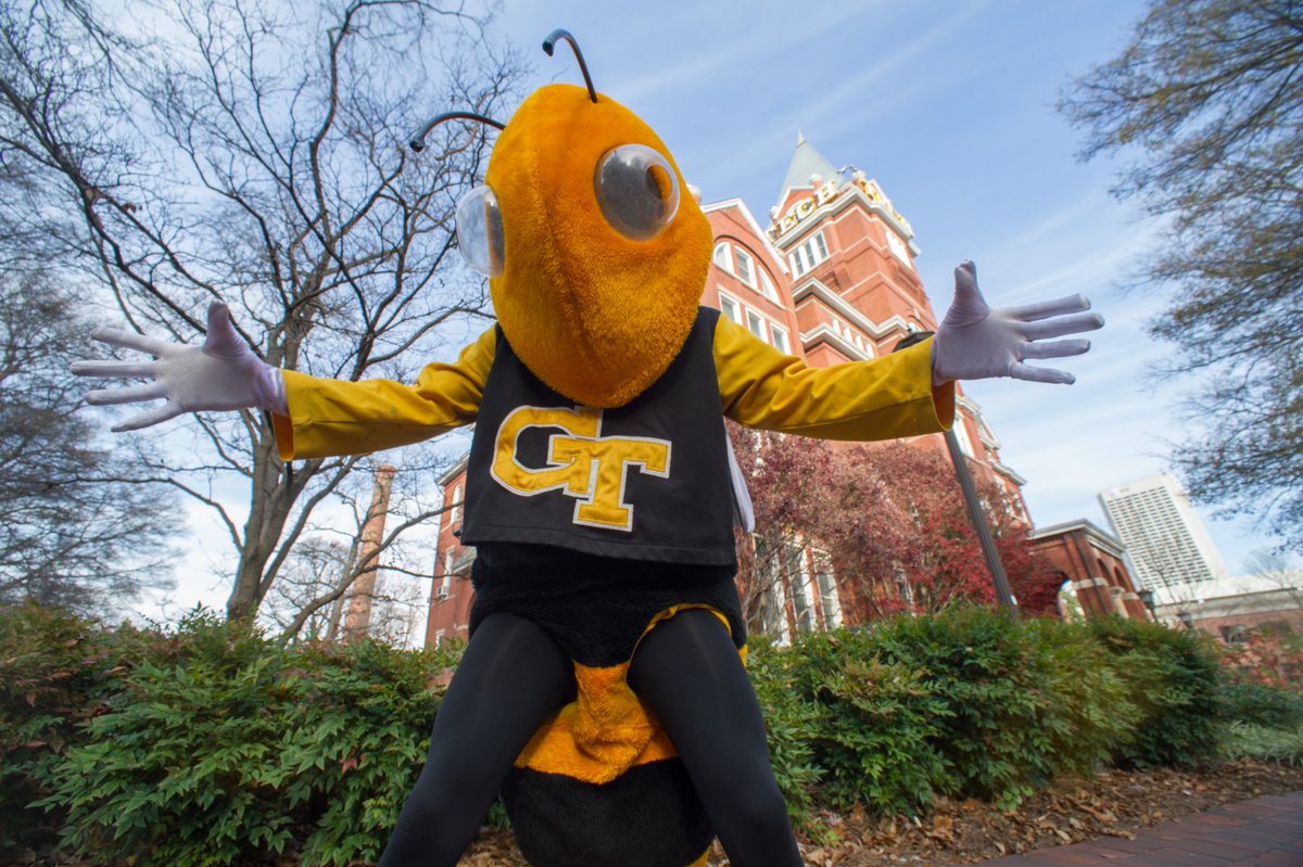 GeorgiaTech's tweet photo. RT to show love for your favorite mascot, @Buzz_gt on #NationalMascotDay! 💛 https://t.co/WINrxgP6c1