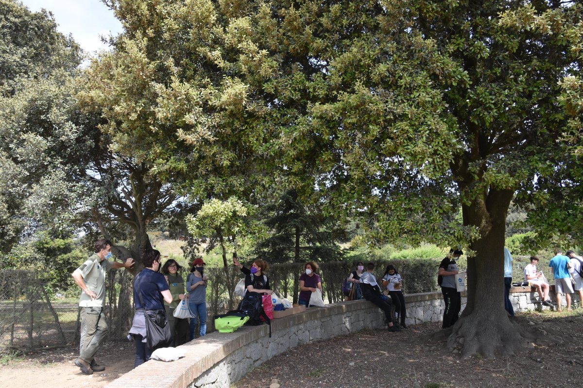 xarxadeparcs's tweet image. Els participants del Servei Comunitari del Parc de la Serralada Litoral, alumnes de l'IES Jaume Almera de Vilassar de Dalt, ajuden a conscienciar i reduir els residus del Parc
parcs.diba.cat/web/l-informat…
#ParcMarina #ServeiComunitari