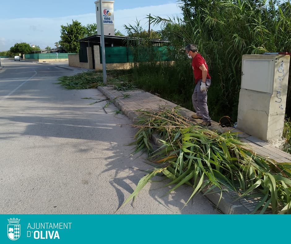AjuntamentOliva's tweet photo. 🧱 Des de la Regidoria d’Obres i Serveis, encapçalada per Miquel Doménech, s’està portant a terme el manteniment, la neteja i les millores de les vies públiques en la platja, poble, camins agrícoles i urbanitzacions. 

#Oliva #AjuntamentdOliva #ObresiServeisPúblics https://t.co/wxwHnHduOX