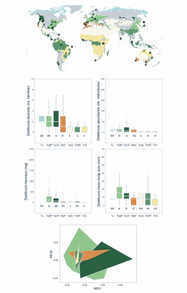 JavierPerezVi's tweet photo. Our new study, published today in Nature Communications, reveals a strong link between detritivore diversity and plant litter decomposition in streams at the global scale! #globenetwork #streamresearch #38sites #23countries #6continents
https://t.co/bcOb0FOiMK https://t.co/8yOuzaqqNZ