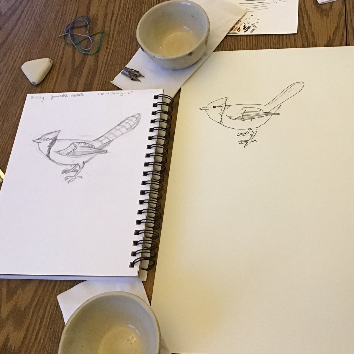artoftash's tweet photo. And so I began a new #bird project. This shot is about a month old now. I did not end up finishing this #artwork, but I will post some more progress soon.

#outline #lineart #ink #dippen #strathmore #wip #fieldguide https://t.co/1IzzVmxFFm