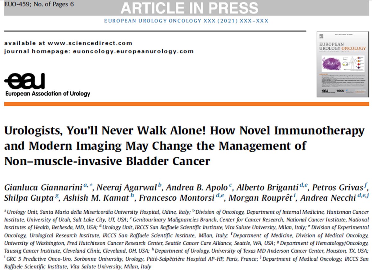 Urologists, you’ll never walk alone! #NMIBC #bladdercancer sciencedirect.com/science/articl… @AndreaNecchi & I are extremely grateful to @neerajaiims @apolo_andrea @albertobrigant1 @PGrivasMDPhD @shilpaonc @UroDocAsh @F_Montorsi @MRoupret for having supported our idea now on @EurUrolOncol