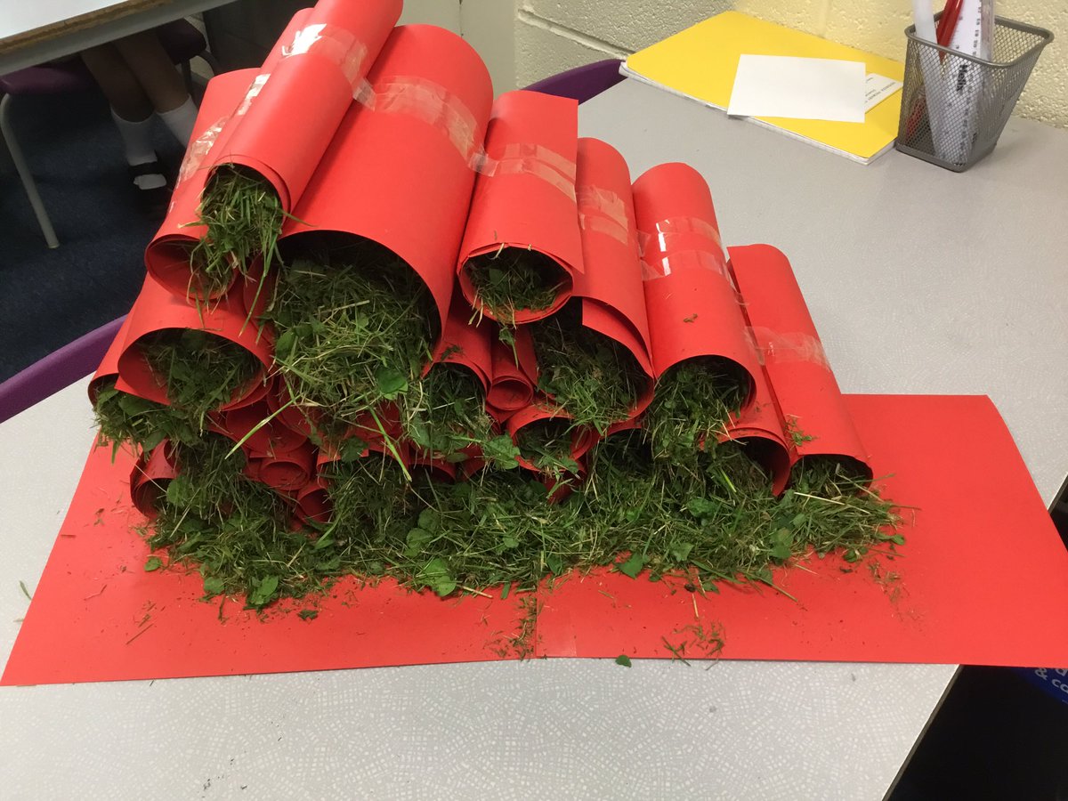 Year 2 have begun to create a big house as part of our Science topic habitats. <a href="/hgprimary/">Heygreen Primary</a>