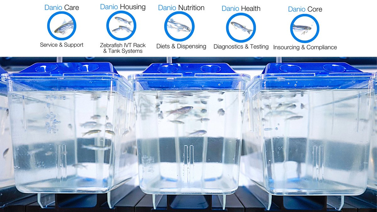 daniolabs's tweet photo. Catch us at Day 2 of the International Zebrafish Conference @InfoIzfs. Visit our virtual booth to learn more. #acceleratingresearch https://t.co/1yBJMeutZ9
