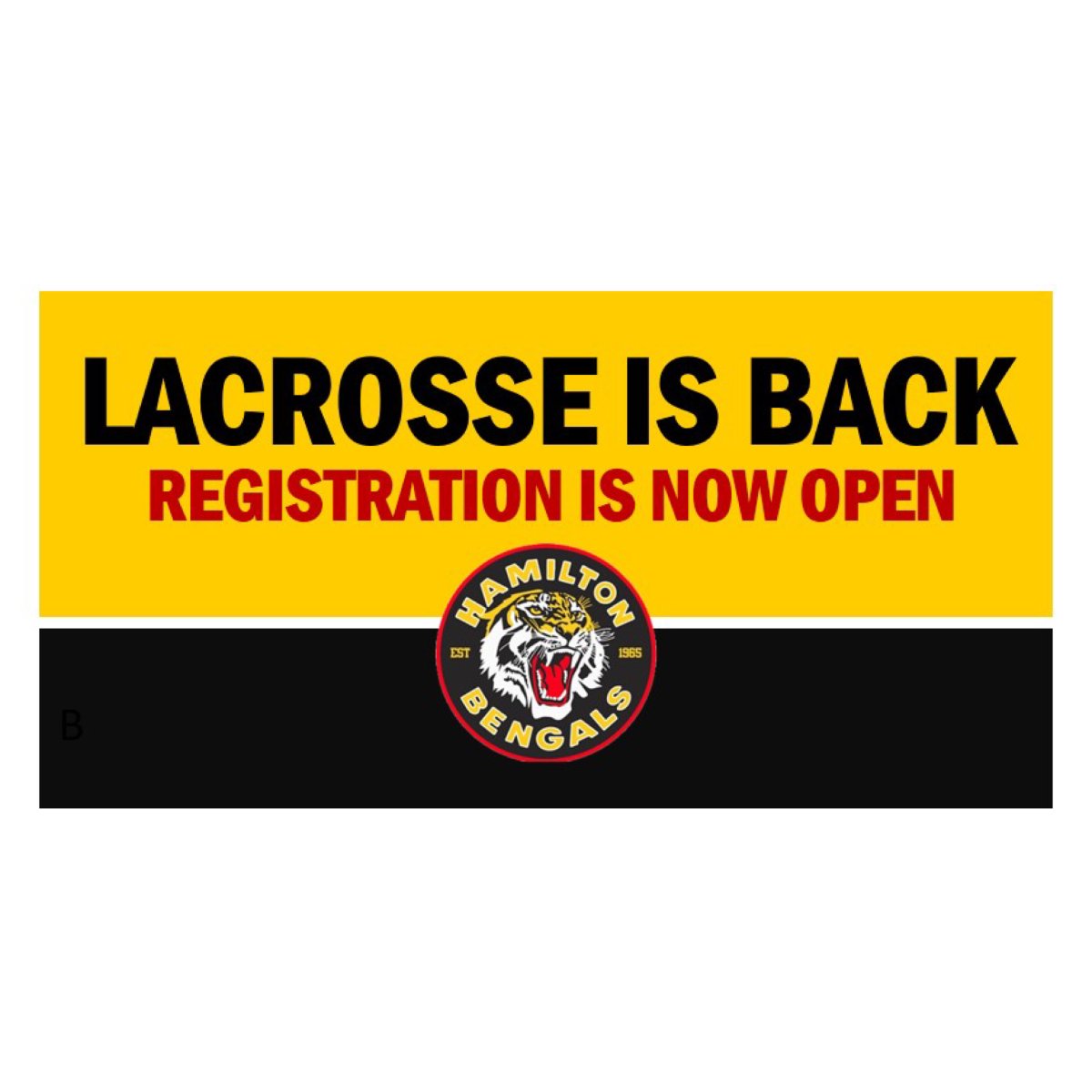 Hamilton Lacrosse tweet media