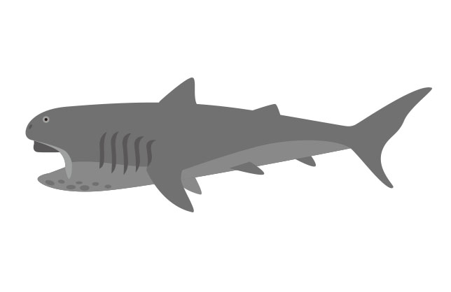 海の仲間たち Uminaka Free Twitter