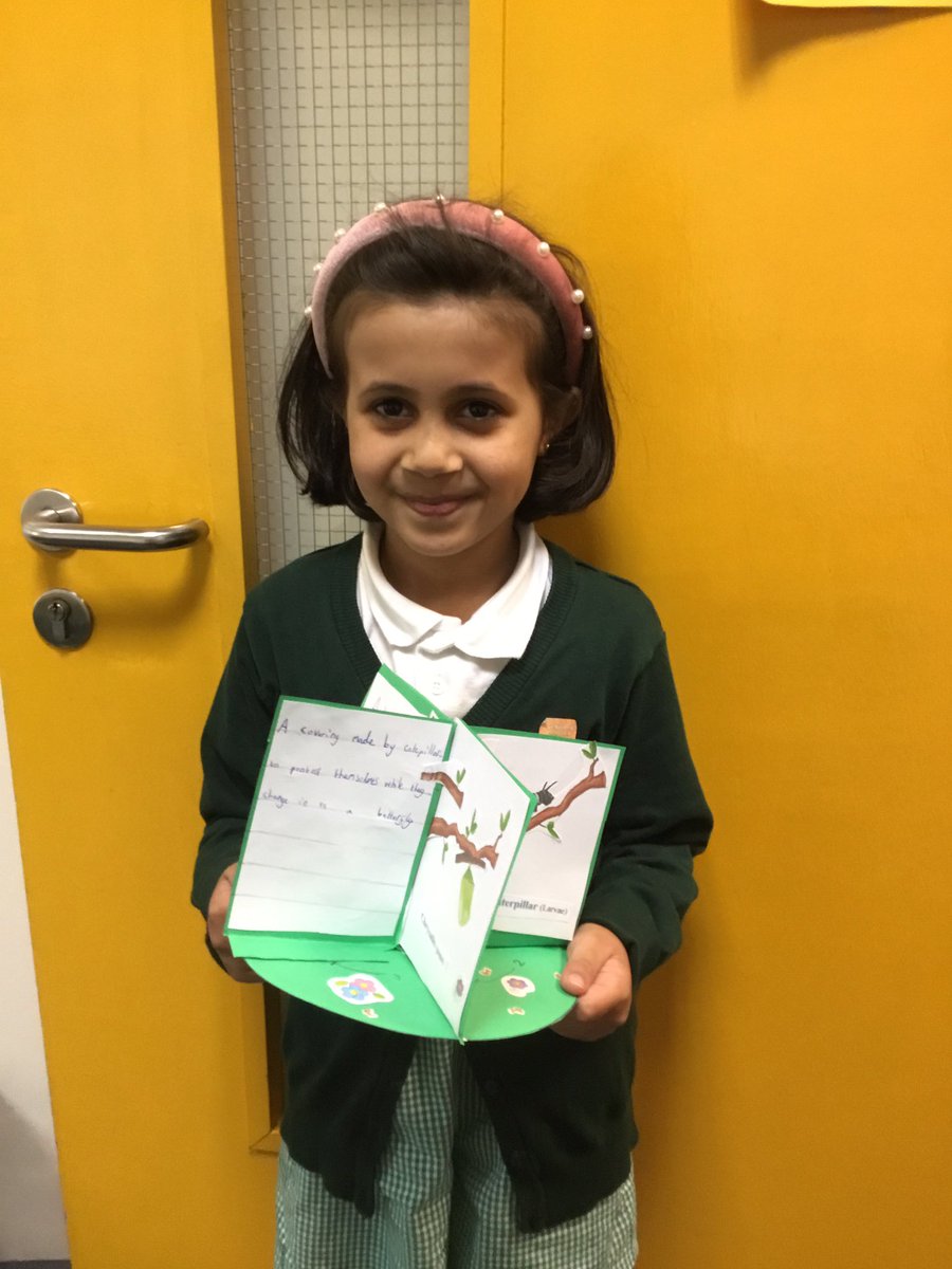 A fantastic homework project showing the butterfly life cycle. <a href="/hgprimary/">Heygreen Primary</a>