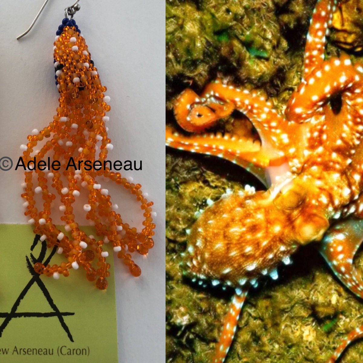 CaronMetis's tweet photo. Just thought Iβd show these here. IDK might delete later. ππ
#GiantPacificOctopus #Beadable https://t.co/asZPI4Mwe6