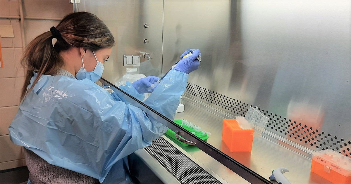 Lauren Michelberger, fourth-year thesis student in biochemistry, processing a blood sample from the lung cancer mDETECT project, PIPEN.