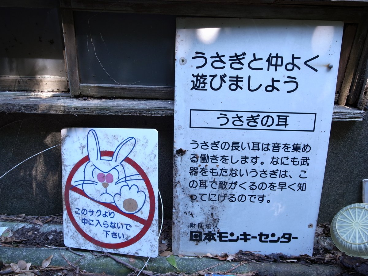 イル カポネ 三河湾に浮かぶ無人島 前島 別名 うさぎ島 かつては島内で数百羽のうさぎ が放し飼いにされ触れ合うことができたが 97年に閉鎖 愛知県人には馴染みが深い島である 現在は完全に無人島であり無兎島である T Co Ouqqc3nui4
