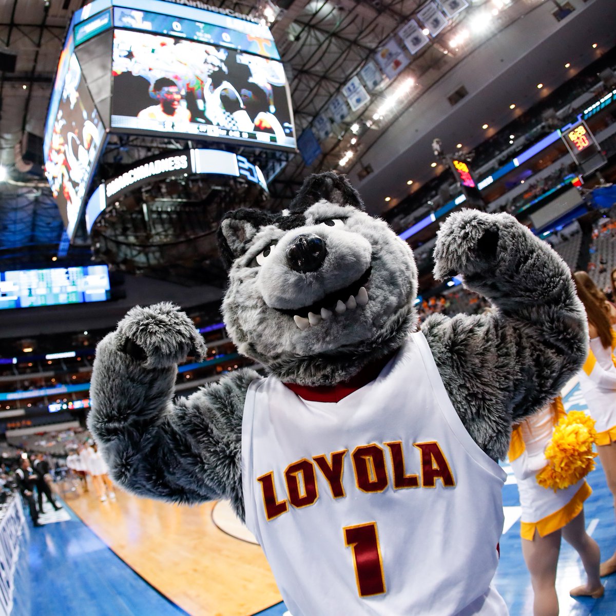 Loyola Ramblers tweet media