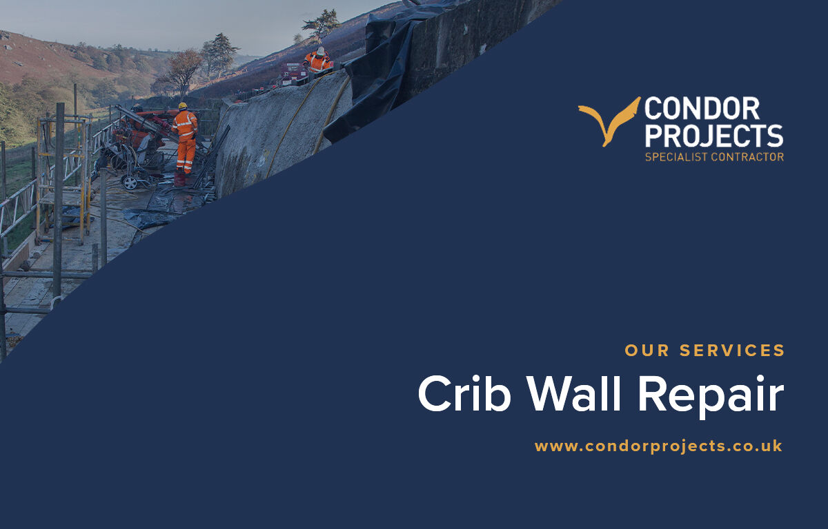 Condor_Projects tweet picture