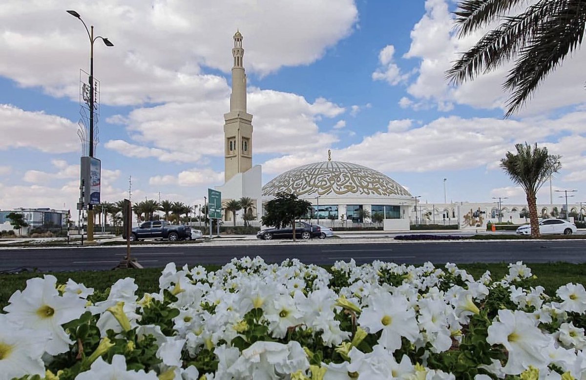 خلفان راشد النايلي الشامسي tweet media