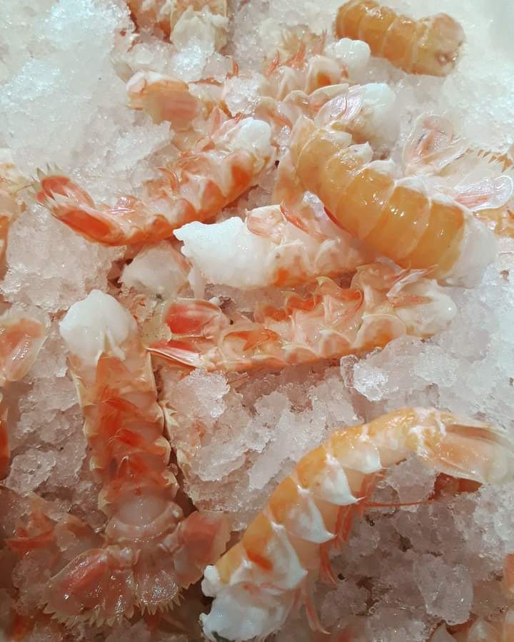 Almoradux's tweet photo. Fantásticas colas de este crustáceo de la costa, con las que haremos las ricas y sabrosas romanitas de cigalas.

Restaurante Almoradux 
☎️ 959459779
Hinojos 

#cocinadeproducto #mar #cigalas #mariscos #romanitas #Huelva #gastronomíaandaluza #restaurantesHuelva #Andalucia https://t.co/5xVvEhGO3e
