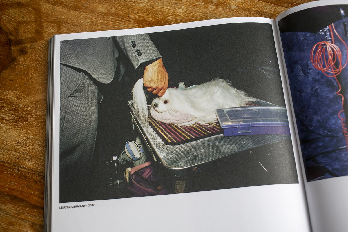 AndersenMStudio's tweet image. Youthies’ magazine (No. 5) from Milan has kindly dedicated 36 pages to 2 of my photography projects. 18 pages each to ‘Can’t Smile Without You’ and my ‘Dog Shows’ project photographed over 15 years around the US and Europe.
The magazine is available from:
youthiesmagazine.com/shop