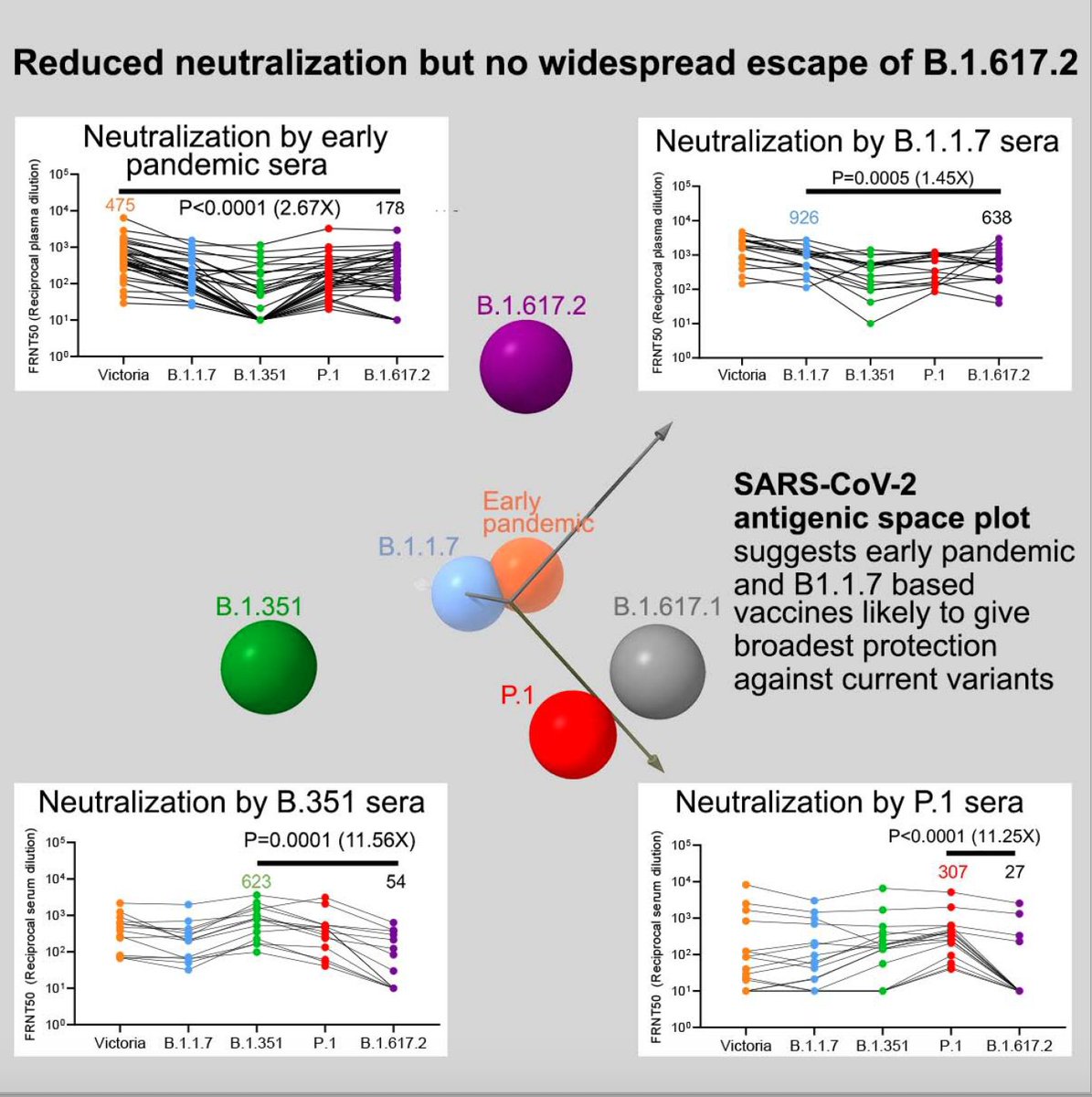 Just published <a href="/CellCellPress/">Cell</a> report on the Delta variant's immune evasion property:
—Less than Beta (good!) 
—Vaccines should hold up (as effectiveness data supports)
—Prior covid with beta or gamma variants susceptible to reinfection by delta
cell.com/cell/fulltext/…