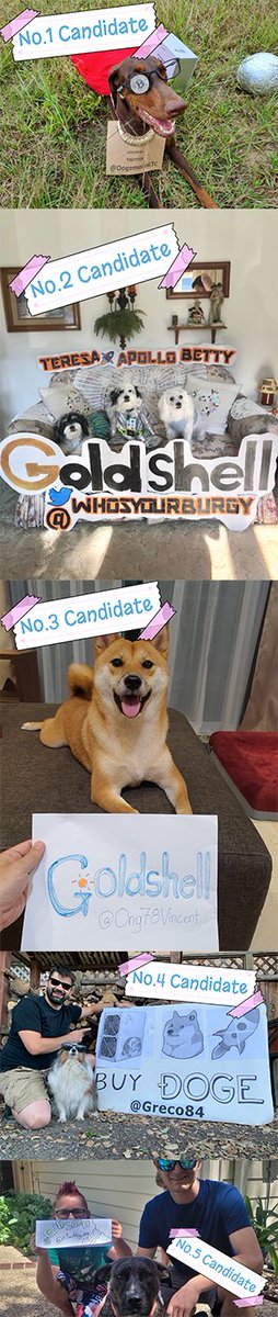 goldshellminer's tweet image. 🥰We thank all the participants, you are all wonderful.
🥳The exciting time has come!
⚡️RT and click the link to vote!
goldshell.com/candidate-intr…
🎯Choose your "The DOGE"
🎁Win the lucky prize!
（Goldshell will randomly select the lucky prize together with the winners）
🐶End:06/20