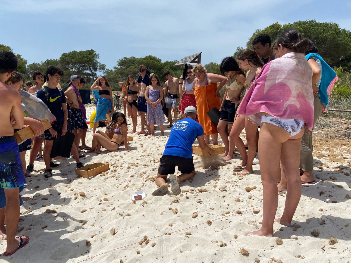 inscabrils's tweet photo. 4t d’ESO dia 3: Son Xoriguer, Son Saura i Ciutadella https://t.co/xAB9bAyfOn