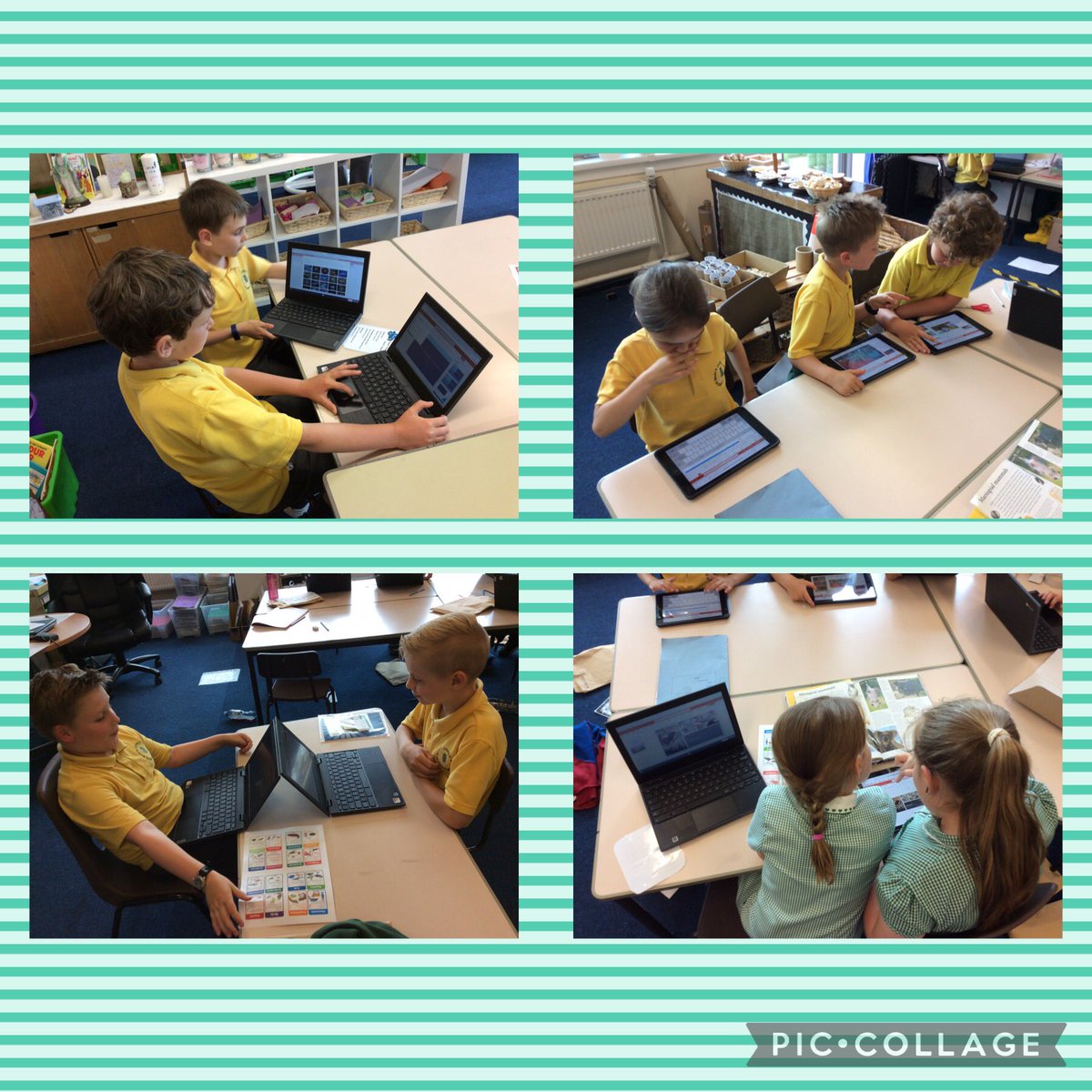 StMarysRCSch's tweet photo. Dosbarth Tri sorting and grouping animals, using ict to create posters and slide shows. 🐹🐱🐯🐭🐨🐵🐷🐸🐒🐧🦉🦆 #SMRY3 #CuriousAndActive #LearnedAndWised https://t.co/U3E85NdPUC