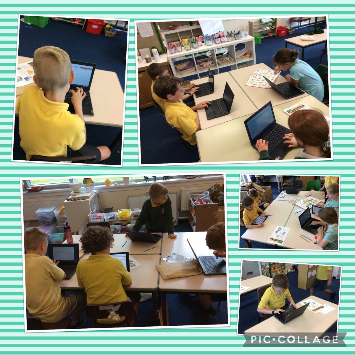 StMarysRCSch's tweet photo. Dosbarth Tri sorting and grouping animals, using ict to create posters and slide shows. 🐹🐱🐯🐭🐨🐵🐷🐸🐒🐧🦉🦆 #SMRY3 #CuriousAndActive #LearnedAndWised https://t.co/U3E85NdPUC