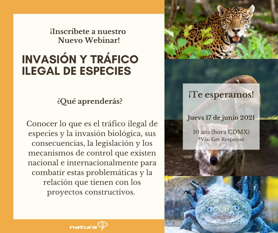 Iniciamos en una hora. ¡Aún puedes registrarte! 
Recuerda compartir este webinar y también si no puedes unirte vía Get Response, puedes verlo en Facebook Live.
buff.ly/3bM4Qwv