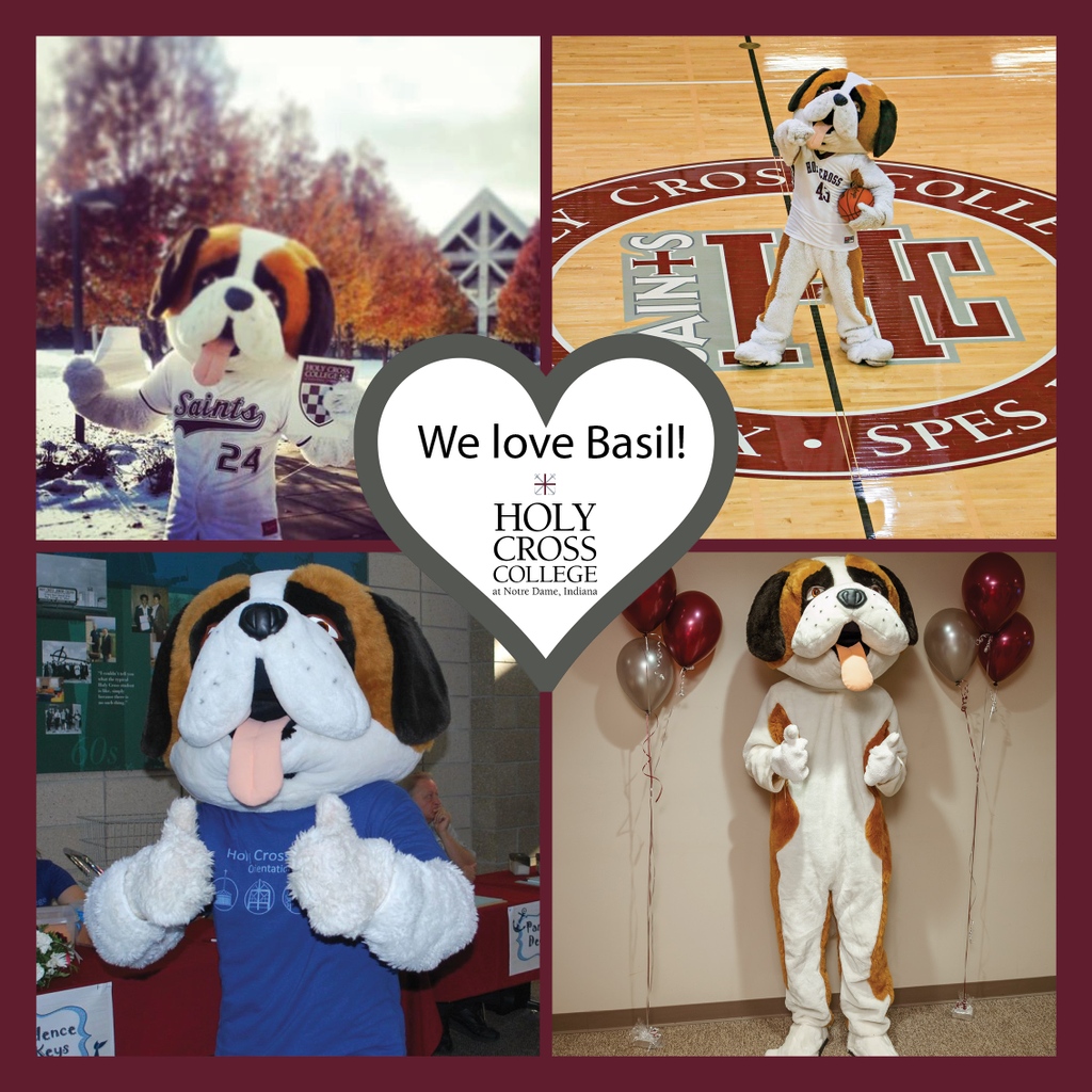 Holy Cross College tweet media